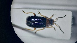  ( - RDRB24_212)  @11 [ ] Unspecified (default): All Rights Reserved (2025) Dominik Rabl Unspecified