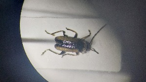  ( - RDRB24_214)  @11 [ ] Unspecified (default): All Rights Reserved (2025) Dominik Rabl Unspecified