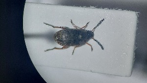  ( - RDRB24_219)  @11 [ ] Unspecified (default): All Rights Reserved (2025) Dominik Rabl Unspecified