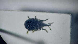  ( - RDRB24_248)  @11 [ ] Unspecified (default): All Rights Reserved (2025) Dominik Rabl Unspecified