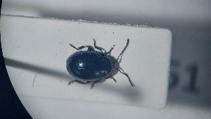  ( - RDRB24_251)  @11 [ ] Unspecified (default): All Rights Reserved (2025) Dominik Rabl Unspecified