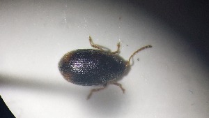  ( - RDRB24_255)  @11 [ ] Unspecified (default): All Rights Reserved (2025) Dominik Rabl Unspecified