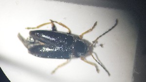  ( - RDRB24_257)  @11 [ ] Unspecified (default): All Rights Reserved (2025) Dominik Rabl Unspecified