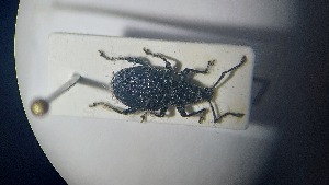  ( - RDRB24_267)  @11 [ ] Unspecified (default): All Rights Reserved (2025) Dominik Rabl Unspecified