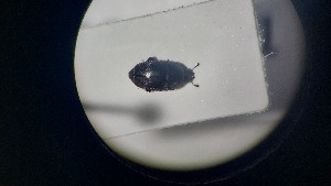  ( - RDRB24_271)  @11 [ ] Unspecified (default): All Rights Reserved (2025) Dominik Rabl Unspecified