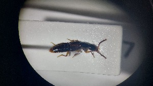  ( - RDRB24_277)  @11 [ ] Unspecified (default): All Rights Reserved (2025) Dominik Rabl Unspecified