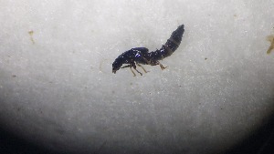  ( - RDRB24_333)  @11 [ ] Unspecified (default): All Rights Reserved (2025) Dominik Rabl Unspecified