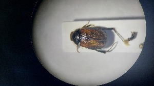  ( - RDRB24_359)  @11 [ ] Unspecified (default): All Rights Reserved (2025) Dominik Rabl Unspecified