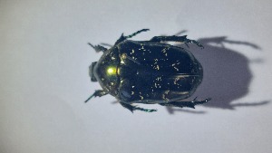  ( - RDRB24_360)  @11 [ ] Unspecified (default): All Rights Reserved (2025) Dominik Rabl Unspecified