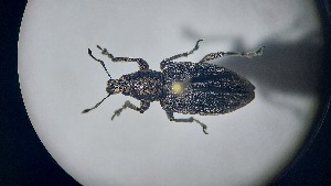  ( - RDRB24_363)  @11 [ ] Unspecified (default): All Rights Reserved (2025) Dominik Rabl Unspecified