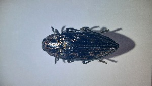  ( - RDRB24_365)  @11 [ ] Unspecified (default): All Rights Reserved (2025) Dominik Rabl Unspecified