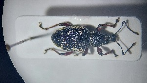  ( - RDRB24_369)  @11 [ ] Unspecified (default): All Rights Reserved (2025) Dominik Rabl Unspecified