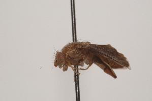  ( - TEPH112)  @11 [ ] Unspecified (default): All Rights Reserved  Unspecified Unspecified