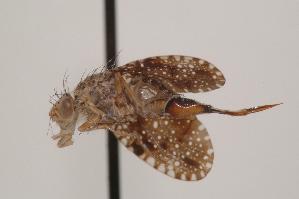  ( - TEPH158)  @12 [ ] Unspecified (default): All Rights Reserved  Unspecified Unspecified