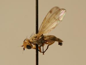  ( - ZMMU AIS000045)  @12 [ ] Unspecified (default): All Rights Reserved  Unspecified Unspecified