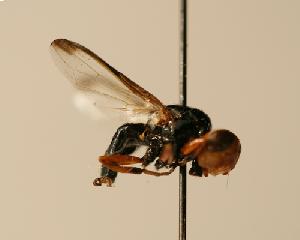  ( - ZMMU AIS000081)  @12 [ ] Unspecified (default): All Rights Reserved  Unspecified Unspecified