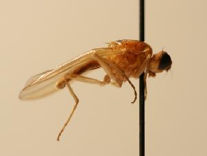  ( - ZMMU AIS000089)  @13 [ ] Unspecified (default): All Rights Reserved  Unspecified Unspecified
