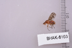  ( - BHAK-06103)  @12 [ ] CreativeCommons - Attribution No Derivatives (2018) Hakai Institute Hakai Institute