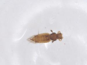  ( - CBG-B15711-D02)  @11 [ ] CreativeCommons - Attribution Share - Alike (2025) Centre for Biodiversity Genomics Centre for Biodiversity Genomics