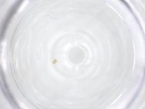  ( - CBG-B15712-H07)  @11 [ ] CreativeCommons - Attribution Share - Alike (2025) Centre for Biodiversity Genomics Centre for Biodiversity Genomics