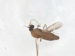  ( - CBG-B20134-A12)  @11 [ ] CreativeCommons - Attribution Share - Alike (2025) Centre for Biodiversity Genomics Centre for Biodiversity Genomics