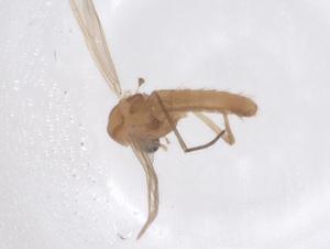  ( - CBG-B21890-E10)  @11 [ ] CreativeCommons - Attribution Share - Alike (2025) Centre for Biodiversity Genomics Centre for Biodiversity Genomics