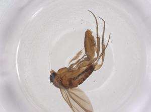  ( - CBG-B21810-E02)  @11 [ ] CreativeCommons - Attribution Share - Alike (2025) Centre for Biodiversity Genomics Centre for Biodiversity Genomics