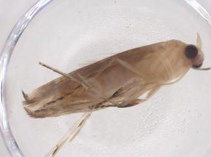  ( - CBG-B22233-B08)  @11 [ ] CreativeCommons - Attribution Share - Alike (2025) Centre for Biodiversity Genomics Centre for Biodiversity Genomics