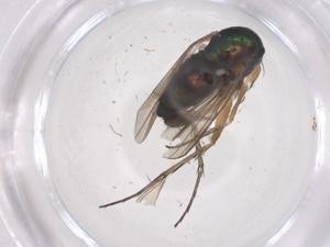  ( - CBG-B01103-F04)  @11 [ ] CreativeCommons - Attribution Share - Alike (2025) Centre for Biodiversity Genomics Centre for Biodiversity Genomics