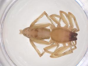  ( - CBG-B04407-H09)  @11 [ ] CreativeCommons - Attribution Share - Alike (2025) Centre for Biodiversity Genomics Centre for Biodiversity Genomics