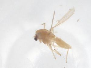  ( - CBG-B04418-F02)  @11 [ ] CreativeCommons - Attribution Share - Alike (2025) Centre for Biodiversity Genomics Centre for Biodiversity Genomics