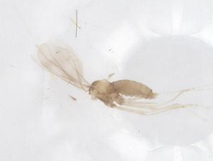  ( - CBG-B04420-E05)  @11 [ ] CreativeCommons - Attribution Share - Alike (2025) Centre for Biodiversity Genomics Centre for Biodiversity Genomics