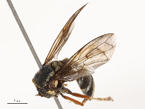  ( - CBG-B21843-D09)  @11 [ ] CreativeCommons - Attribution Share - Alike (2025) CBG Photography Group Centre for Biodiversity Genomics