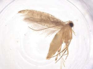  ( - CBG-B22463-E01)  @11 [ ] CreativeCommons - Attribution Share - Alike (2025) Centre for Biodiversity Genomics Centre for Biodiversity Genomics