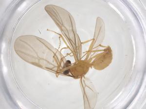  ( - CBG-B22478-H02)  @11 [ ] CreativeCommons - Attribution Share - Alike (2025) Centre for Biodiversity Genomics Centre for Biodiversity Genomics