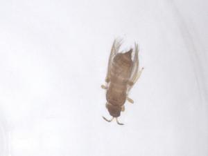  ( - CBG-B23518-A04)  @11 [ ] CreativeCommons - Attribution Share - Alike (2025) Centre for Biodiversity Genomics Centre for Biodiversity Genomics