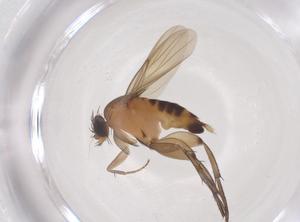  ( - CBG-B01086-G06)  @11 [ ] CreativeCommons - Attribution Share - Alike (2025) Centre for Biodiversity Genomics Centre for Biodiversity Genomics