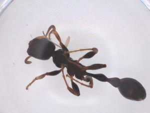  ( - CBG-B01121-F02)  @11 [ ] CreativeCommons - Attribution Share - Alike (2025) Centre for Biodiversity Genomics Centre for Biodiversity Genomics