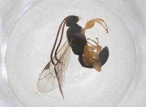  ( - CBG-B05128-A04)  @11 [ ] CreativeCommons - Attribution Share - Alike (2025) Centre for Biodiversity Genomics Centre for Biodiversity Genomics