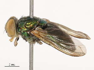  ( - CBG-B21863-E04)  @11 [ ] CreativeCommons - Attribution Share - Alike (2025) CBG Photography Group Centre for Biodiversity Genomics