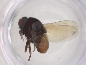  ( - CBG-B22346-A07)  @11 [ ] CreativeCommons - Attribution Share - Alike (2025) Centre for Biodiversity Genomics Centre for Biodiversity Genomics