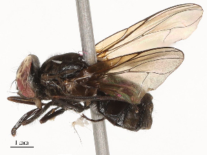  ( - CBG-B22369-D05)  @11 [ ] CreativeCommons - Attribution Share - Alike (2025) CBG Photography Group Centre for Biodiversity Genomics