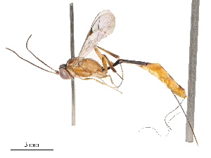  ( - CBG-B00398-C11)  @11 [ ] CreativeCommons - Attribution Share - Alike (2025) CBG Photography Group Centre for Biodiversity Genomics
