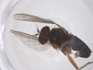  ( - CBG-B02768-A03)  @11 [ ] CreativeCommons - Attribution Share - Alike (2025) Centre for Biodiversity Genomics Centre for Biodiversity Genomics