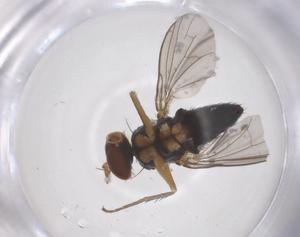  ( - CBG-B02768-A08)  @11 [ ] CreativeCommons - Attribution Share - Alike (2025) Centre for Biodiversity Genomics Centre for Biodiversity Genomics