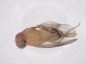  ( - CBG-B05120-E08)  @11 [ ] CreativeCommons - Attribution Share - Alike (2025) Centre for Biodiversity Genomics Centre for Biodiversity Genomics