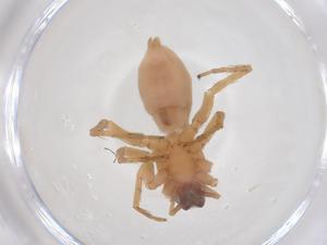  ( - CBG-B05142-E10)  @11 [ ] CreativeCommons - Attribution Share - Alike (2025) Centre for Biodiversity Genomics Centre for Biodiversity Genomics