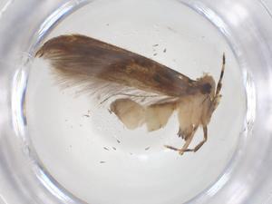  ( - CBG-B05147-G05)  @11 [ ] CreativeCommons - Attribution Share - Alike (2025) Centre for Biodiversity Genomics Centre for Biodiversity Genomics