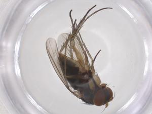  ( - CBG-B15683-F10)  @11 [ ] CreativeCommons - Attribution Share - Alike (2025) Centre for Biodiversity Genomics Centre for Biodiversity Genomics