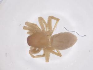  ( - CBG-B15684-F04)  @11 [ ] CreativeCommons - Attribution Share - Alike (2025) Centre for Biodiversity Genomics Centre for Biodiversity Genomics